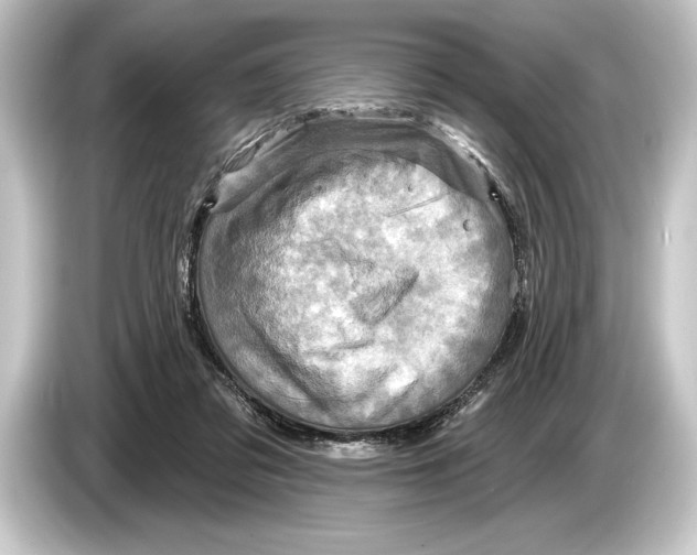 X0000084520309200703161553