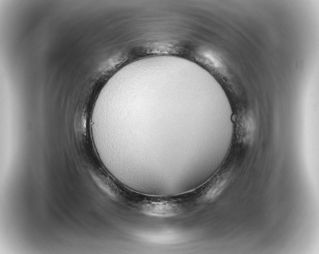 X0000084520310200703161553