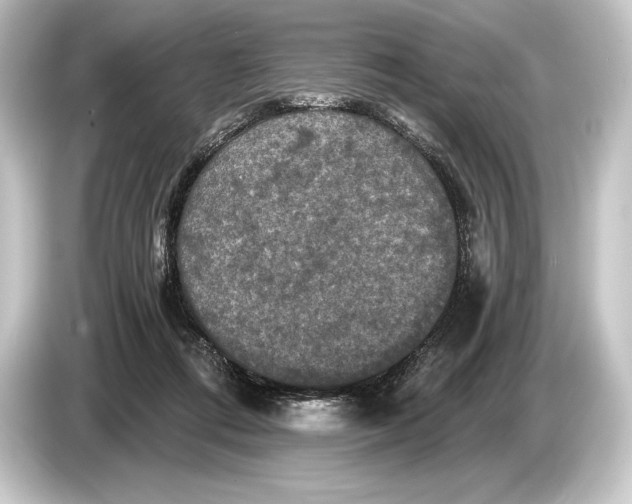 X0000084520312200703161553