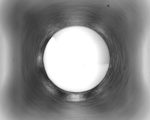 X0000084520314200703161553