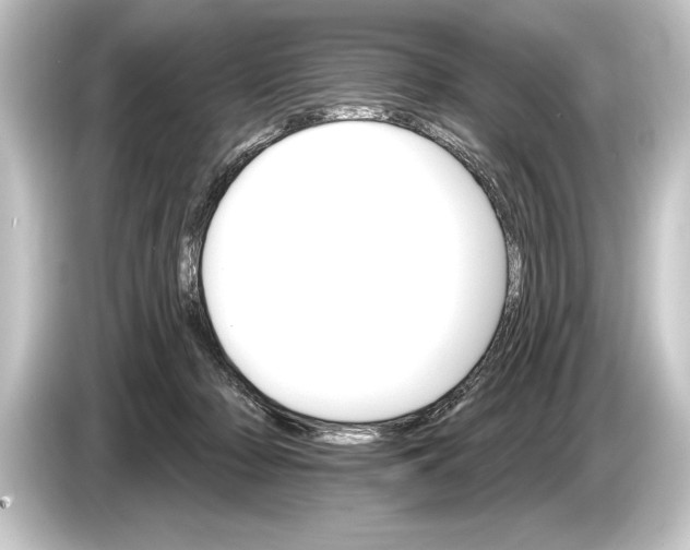 X0000084520318200703161553