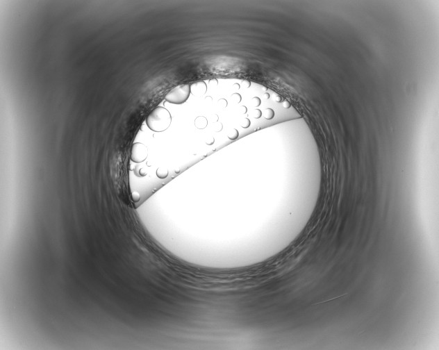 X0000084520319200703161553