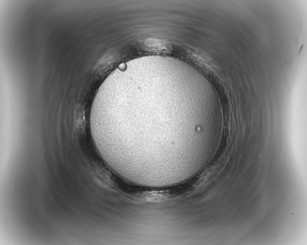 X0000084520320200703161553