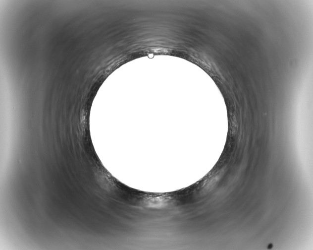 X0000084520321200703161553