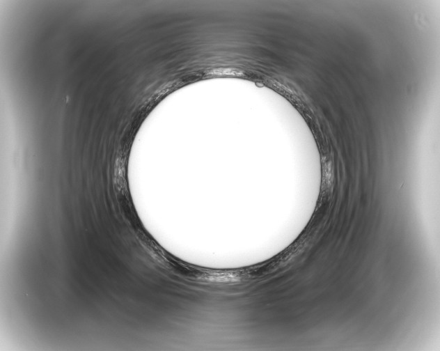 X0000084520322200703161553