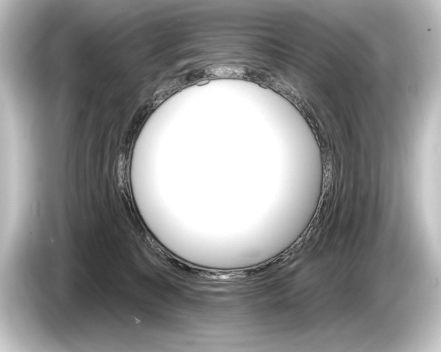 X0000084520323200703161553