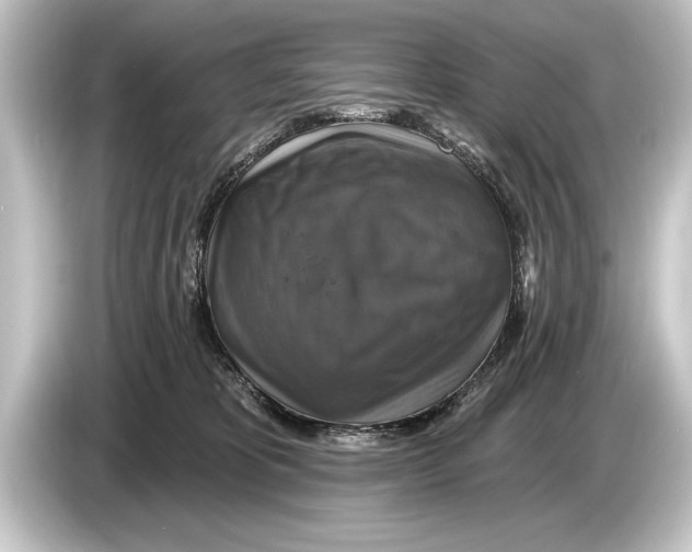 X0000084520325200703161552