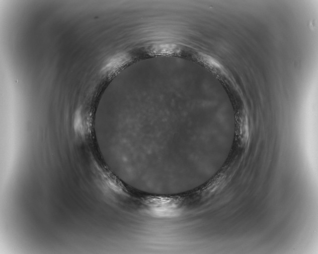 X0000084520326200703161552