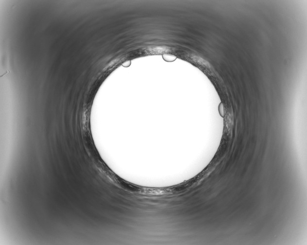 X0000084520330200703161552