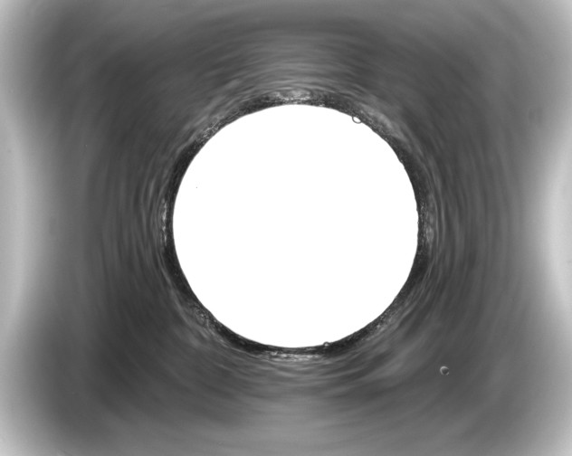 X0000084520332200703161552