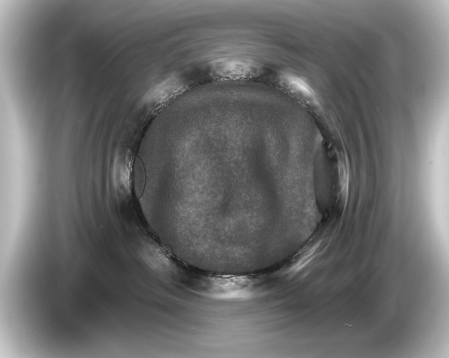 X0000084520334200703161552