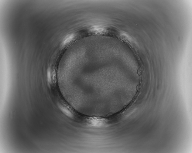 X0000084520336200703161552