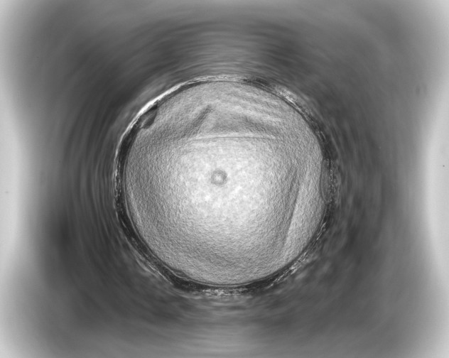 X0000084520338200703161552