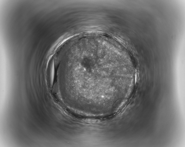 X0000084520339200703161552