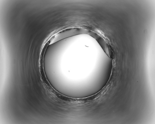 X0000084520340200703161552