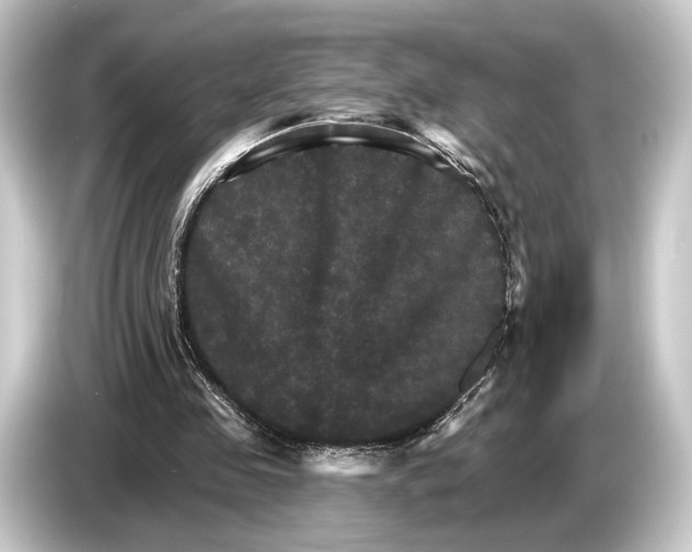 X0000084520341200703161552