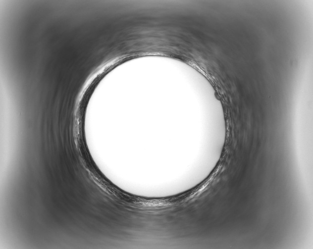 X0000084520342200703161552