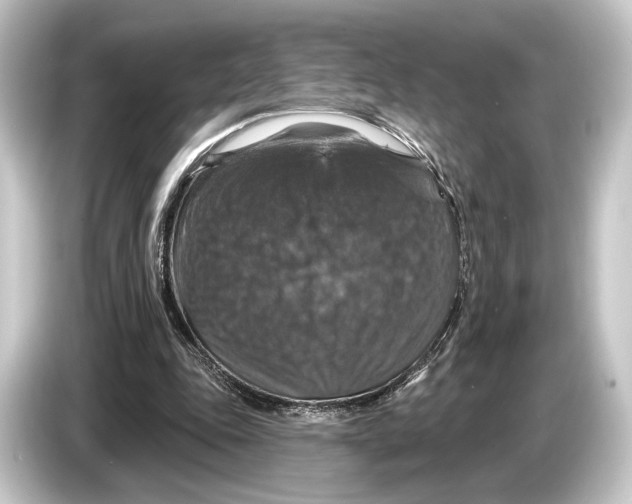 X0000084520343200703161552