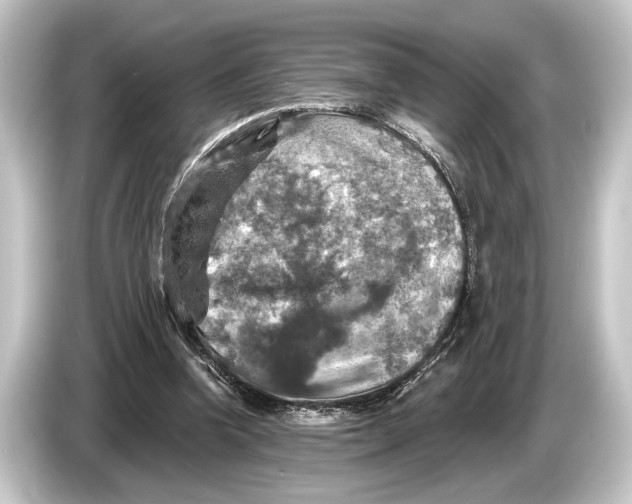 X0000084520346200703161552