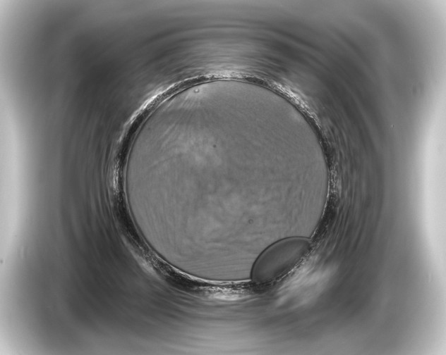 X0000084520347200703161552