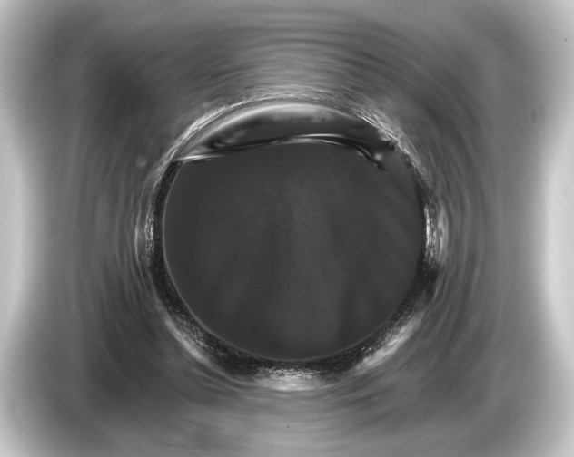 X0000084520348200703161552