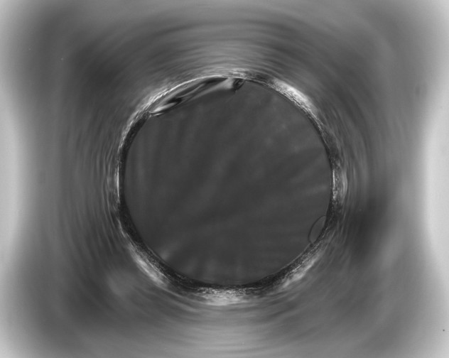 X0000084520349200703161552