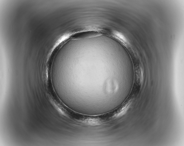 X0000084520350200703161552