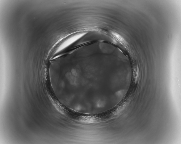 X0000084520351200703161552