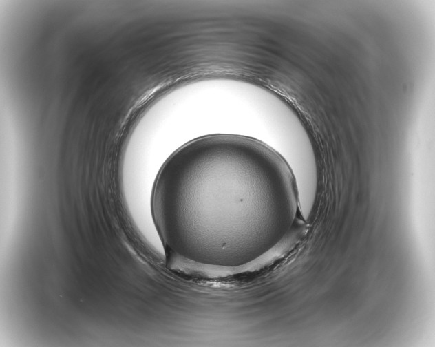 X0000084520352200703161552