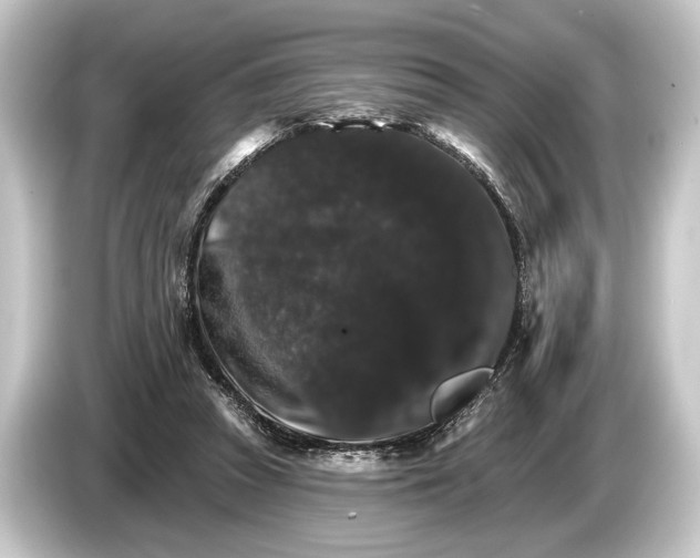 X0000084520353200703161552