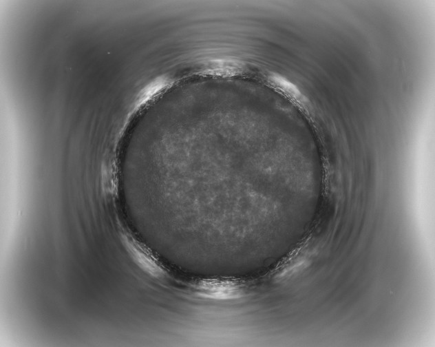 X0000084520354200703161552