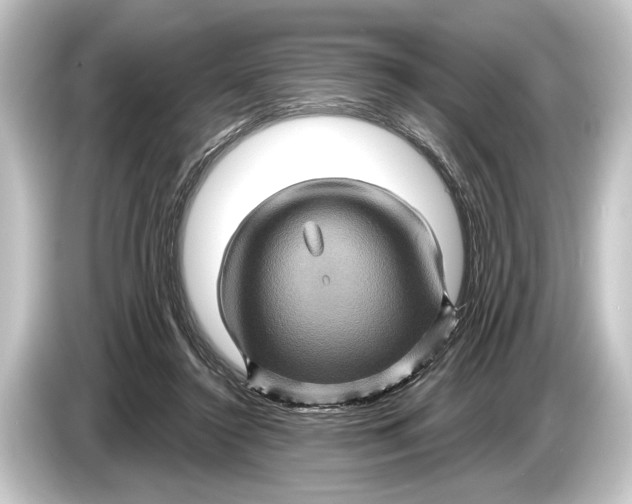 X0000084520356200703161552