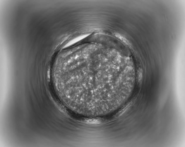 X0000084520358200703161552