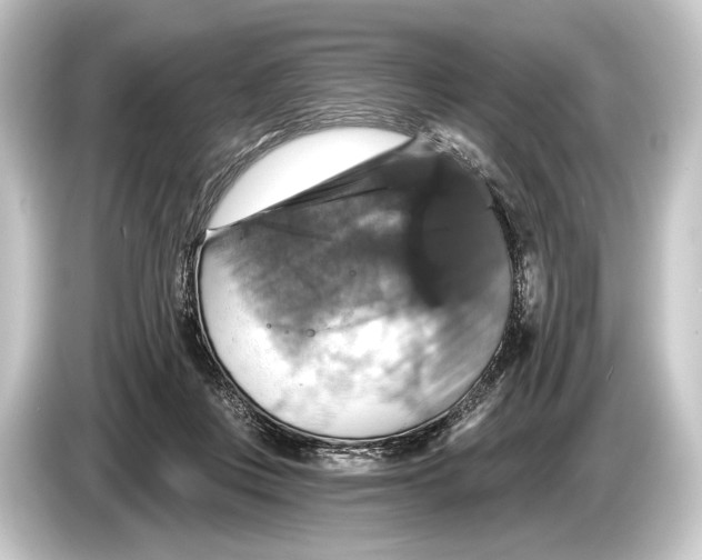 X0000084520359200703161552