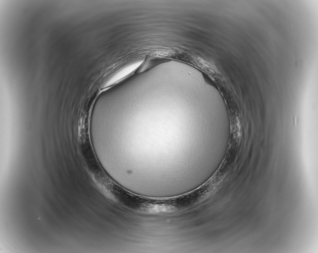 X0000084520360200703161552