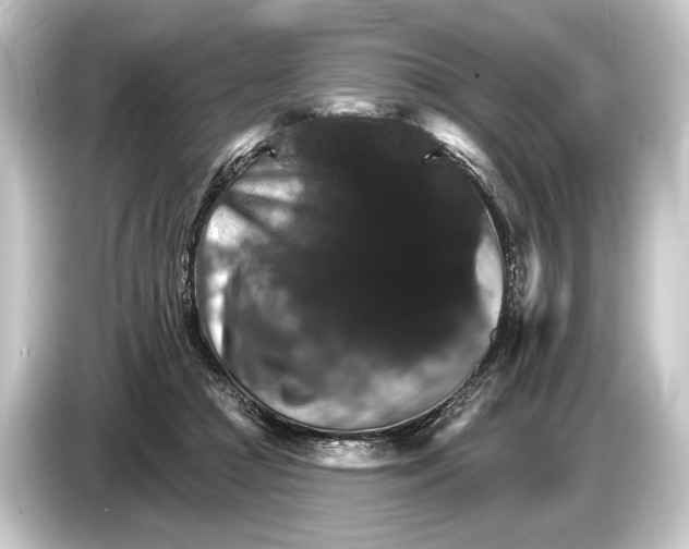 X0000084520361200703161552