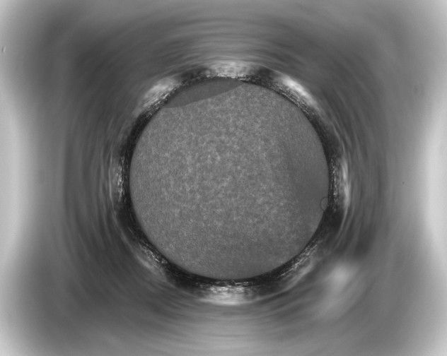 X0000084520362200703161552