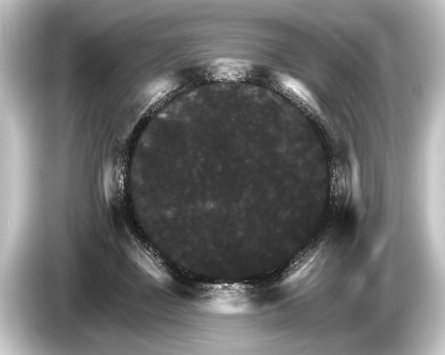 X0000084520363200703161552