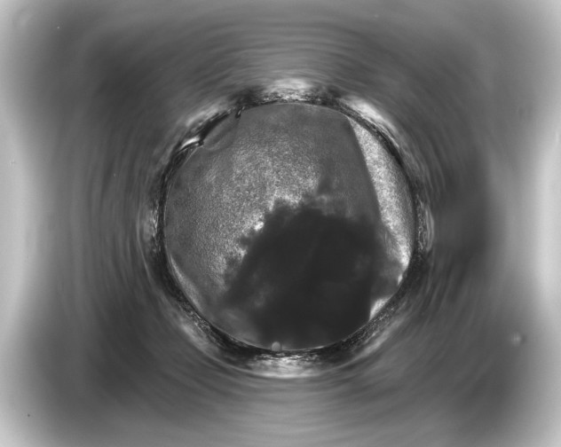 X0000084520365200703161552