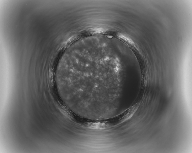 X0000084520366200703161552