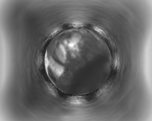 X0000084520367200703161552