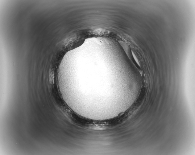 X0000084520368200703161552