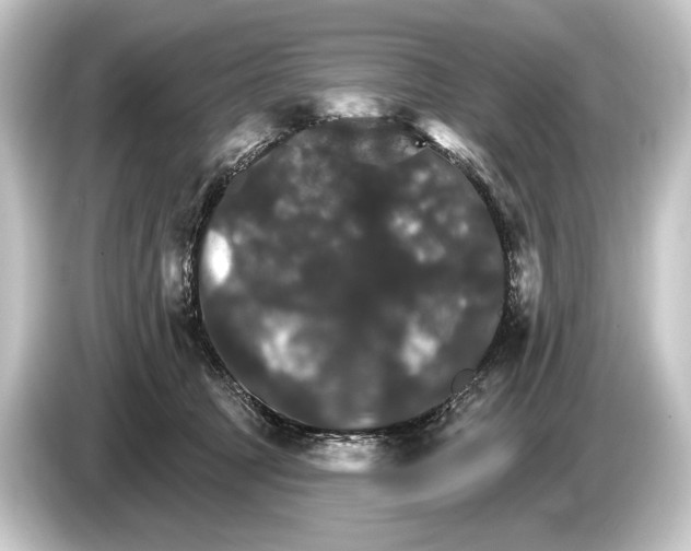 X0000084520369200703161552