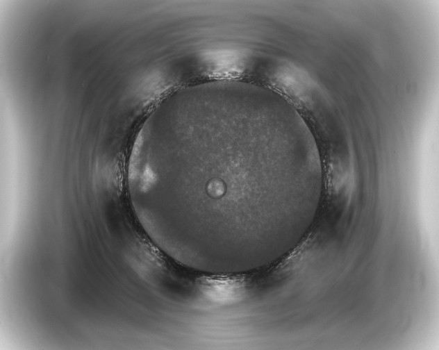 X0000084520370200703161552