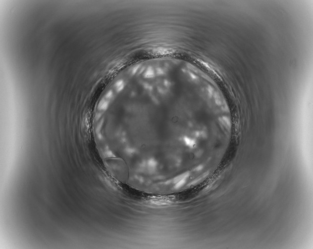 X0000084520373200703161552