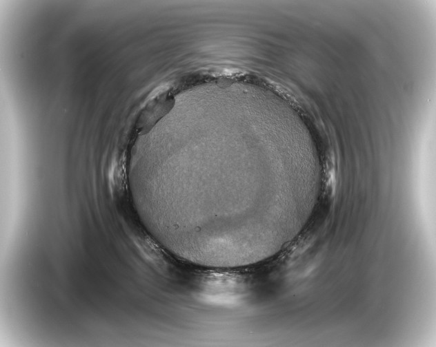 X0000084520376200703161552