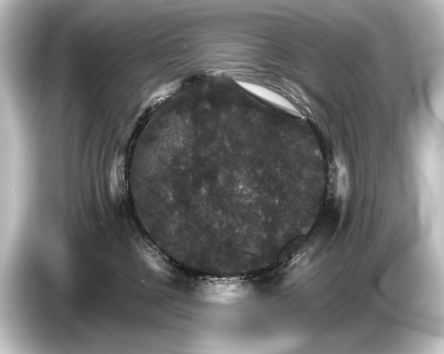 X0000084520377200703161552