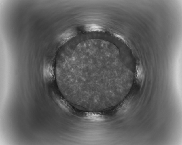 X0000084520380200703161552