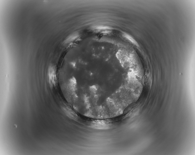 X0000084520381200703161552