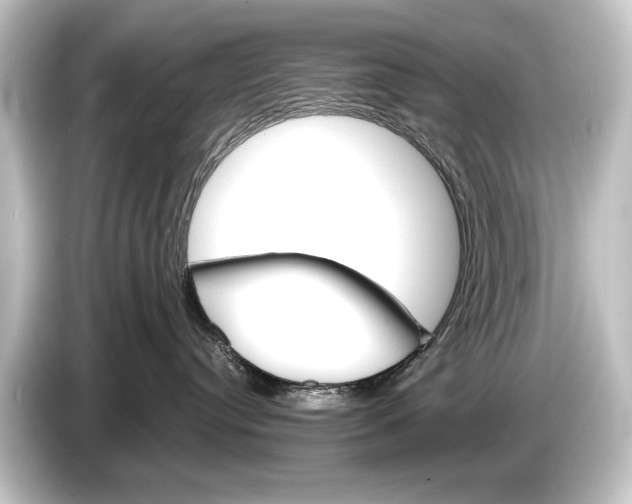 X0000084520384200703161552